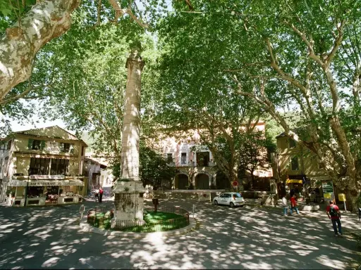La colonne fontaine de Vaucluse, un monument imposant, se dresse au centre d'une place ombragée par de grands arbres. Des bâtiments anciens bordent la place, dont un bar-restaurant.