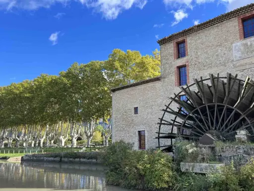 Vieux moulin en pierre avec sa roue à aubes, bordé par une rivière et une allée d'arbres aux couleurs d'automne. Les taillades semblent figées dans le temps.