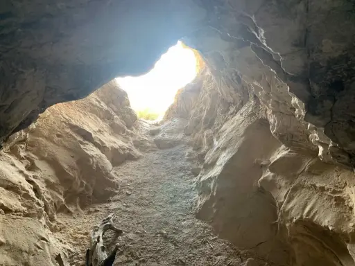 L'entrée de la grotte de Saint Eucher s'ouvre sur une lumière vive, révélant des parois rocheuses sculptées par le temps. Un morceau de bois mort repose au sol.