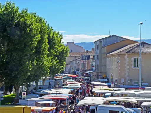 Animation de la vie au marché de Cavaillon, avec ses étals colorés sous les platanes, une foule animée et des camions de pizza.