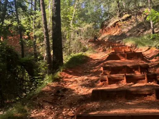 Escalier en bois sur un sentier rouge, au milieu d'une forêt verdoyante. Une invitation à l'aventure, comme un accrobranche rustrel.