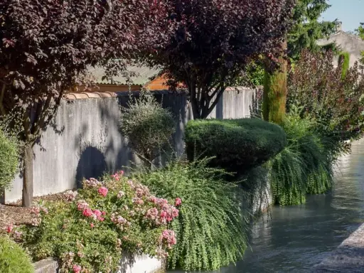 Un cheval blanc vaucluse, rêvant au bord d'un canal, entouré de roses et de verdure luxuriante.