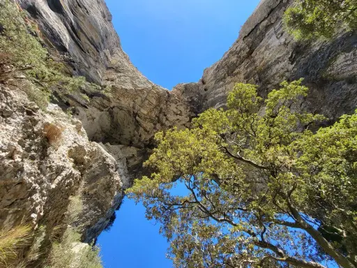 Vue plongeante sur le sentier du Portalas, entre falaises rocheuses et feuillage verdoyant sous un ciel bleu éclatant.