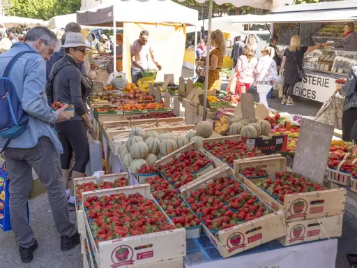 Le marché de Forcalquier animé, avec des étals débordant de fraises, melons et fruits. Des clients font leurs achats sous le soleil.