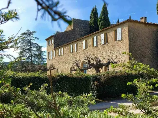 Le **château Saint-Pierre de Mejannes** se dresse, baigné de soleil, derrière une haie taillée et des branches de pin.