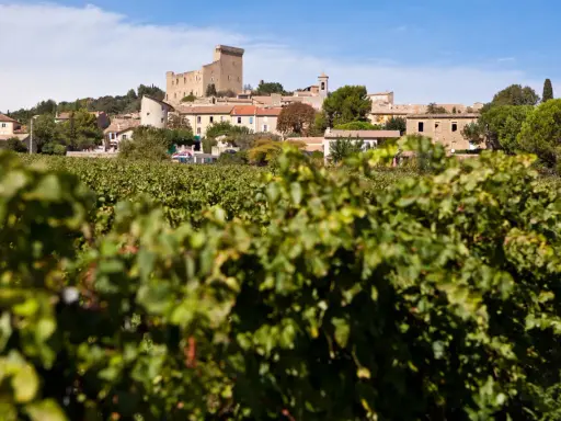 Vue sur le village de Châteauneuf-du-Pape, avec son château, ses vignobles et un ciel bleu.