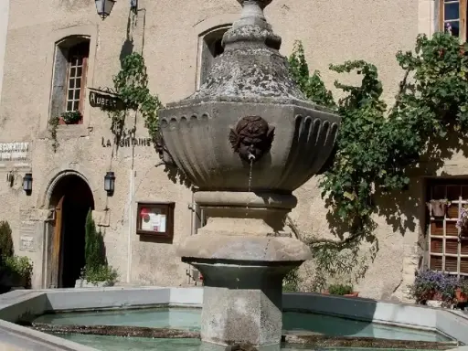 Fontaine en pierre avec des têtes de gargouilles à Venasque, Vaucluse. L'eau coule doucement dans le bassin, entouré de végétation luxuriante.