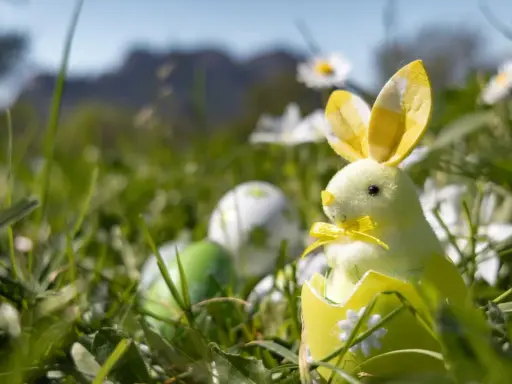 Un adorable lapin de Pâques jaune sort d'un œuf décoré, entouré d'herbe et d'œufs colorés. Idéal pour savoir que faire à Pâques.