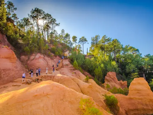 Des randonneurs explorent un sentier boisé aux ocres de Provence, baigné de soleil.