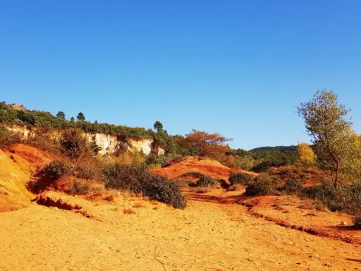 Paysage ocre et rougeoyant du Colorado provençal, avec des falaises, des arbustes et un ciel bleu intense.
