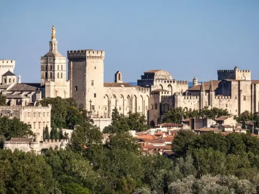 Vue panoramique de la cité des papes, avec le Palais des Papes imposant et ses tours crénelées, baignée de soleil.