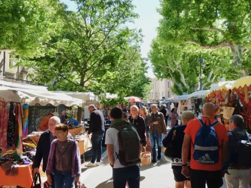 Ambiance animée au marché de Vaison-la-Romaine, avec des étals colorés de tissus et d'artisanat sous les platanes.