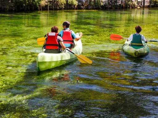Trois personnes en canoë sur la Sorgue, profitant d'une balade paisible à L'Isle-sur-la-Sorgue. L'eau cristalline révèle la végétation sous-marine.