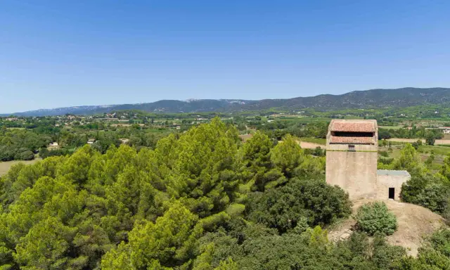 Vue panoramique sur la campagne provençale avec le moulin de Puyvert, entouré de pins et de verdure, sous un ciel bleu éclatant.