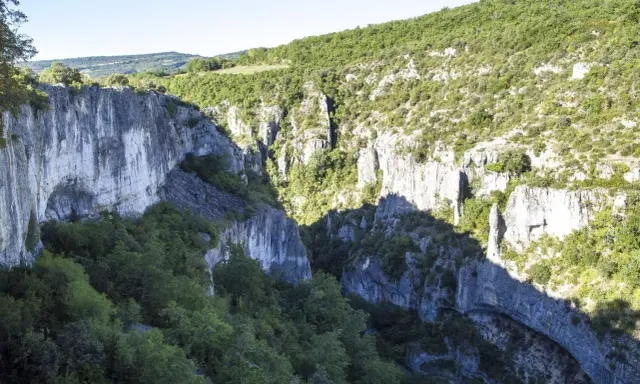 Vue plongeante sur les gorges d'Oppedette, falaises calcaires abruptes couvertes de végétation luxuriante sous un ciel bleu.