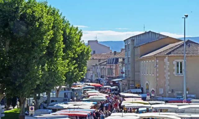 Animation de la vie au marché de Cavaillon, avec ses étals colorés sous les platanes, une foule animée et des camions de pizza.