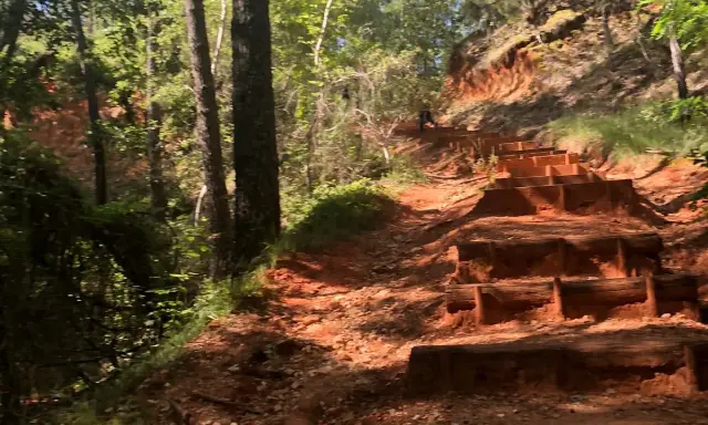 Escalier en bois sur un sentier rouge, au milieu d'une forêt verdoyante. Une invitation à l'aventure, comme un accrobranche rustrel.