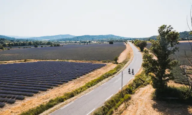 Deux cyclistes profitent des ocres et des champs de lavande en Provence.
