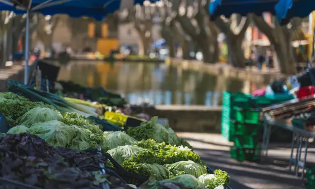 Légumes frais sur un étal du marché de Cucuron, avec un plan d'eau et des platanes en arrière-plan.