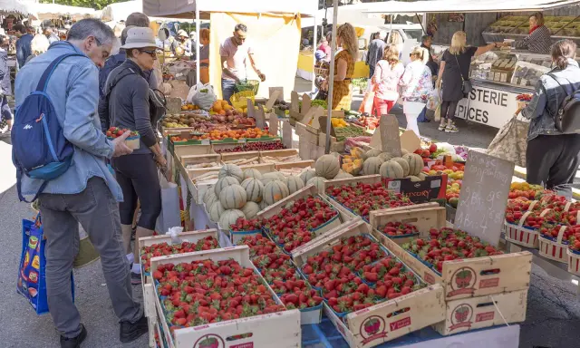 Le marché de Forcalquier animé, avec des étals débordant de fraises, melons et fruits. Des clients font leurs achats sous le soleil.