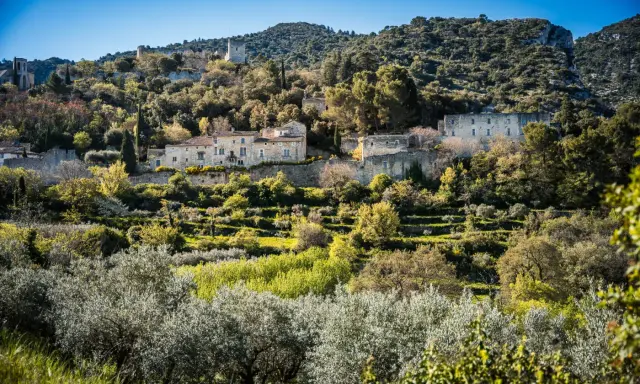 Village perché dans le Lubéron, avec ses maisons de pierre et ses oliveraies. Idéal pour savoir que visiter dans le Lubéron.