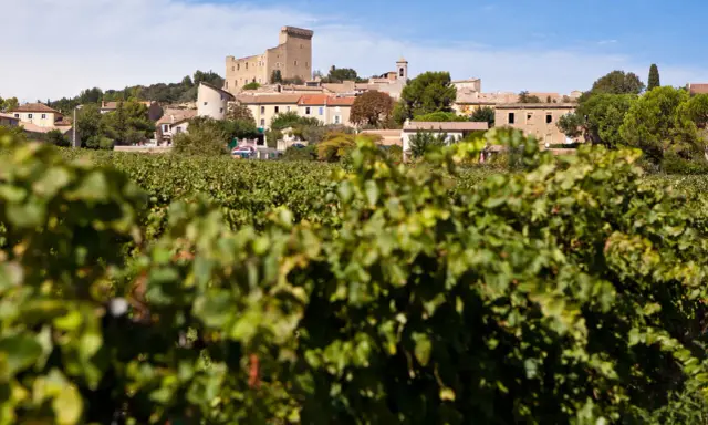 Vue sur le village de Châteauneuf-du-Pape, avec son château, ses vignobles et un ciel bleu.