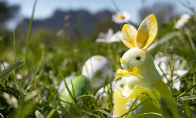 Un adorable lapin de Pâques jaune sort d'un œuf décoré, entouré d'herbe et d'œufs colorés. Idéal pour savoir que faire à Pâques.