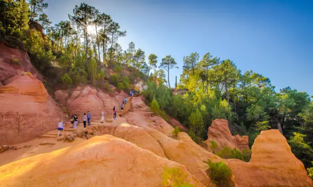 Des randonneurs explorent un sentier boisé aux ocres de Provence, baigné de soleil.