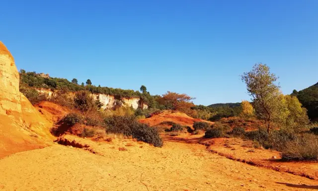 Paysage ocre et rougeoyant du Colorado provençal, avec des falaises, des arbustes et un ciel bleu intense.