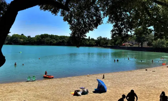 Baignade et détente sur la plage du lac de Bonnieux, sous le feuillage d'un grand arbre. L'eau turquoise invite à la baignade.