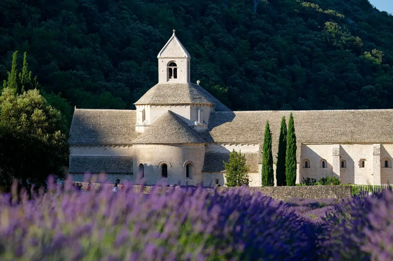 L'abbaye Notre-Dame de Sénanque, baignée de soleil, se dresse derrière un champ de lavande en fleurs.