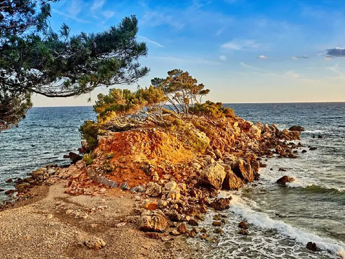 Un coin de nature sauvage pour savoir que faire à Bandol : rochers, pins et mer bleue sous un ciel d'été.