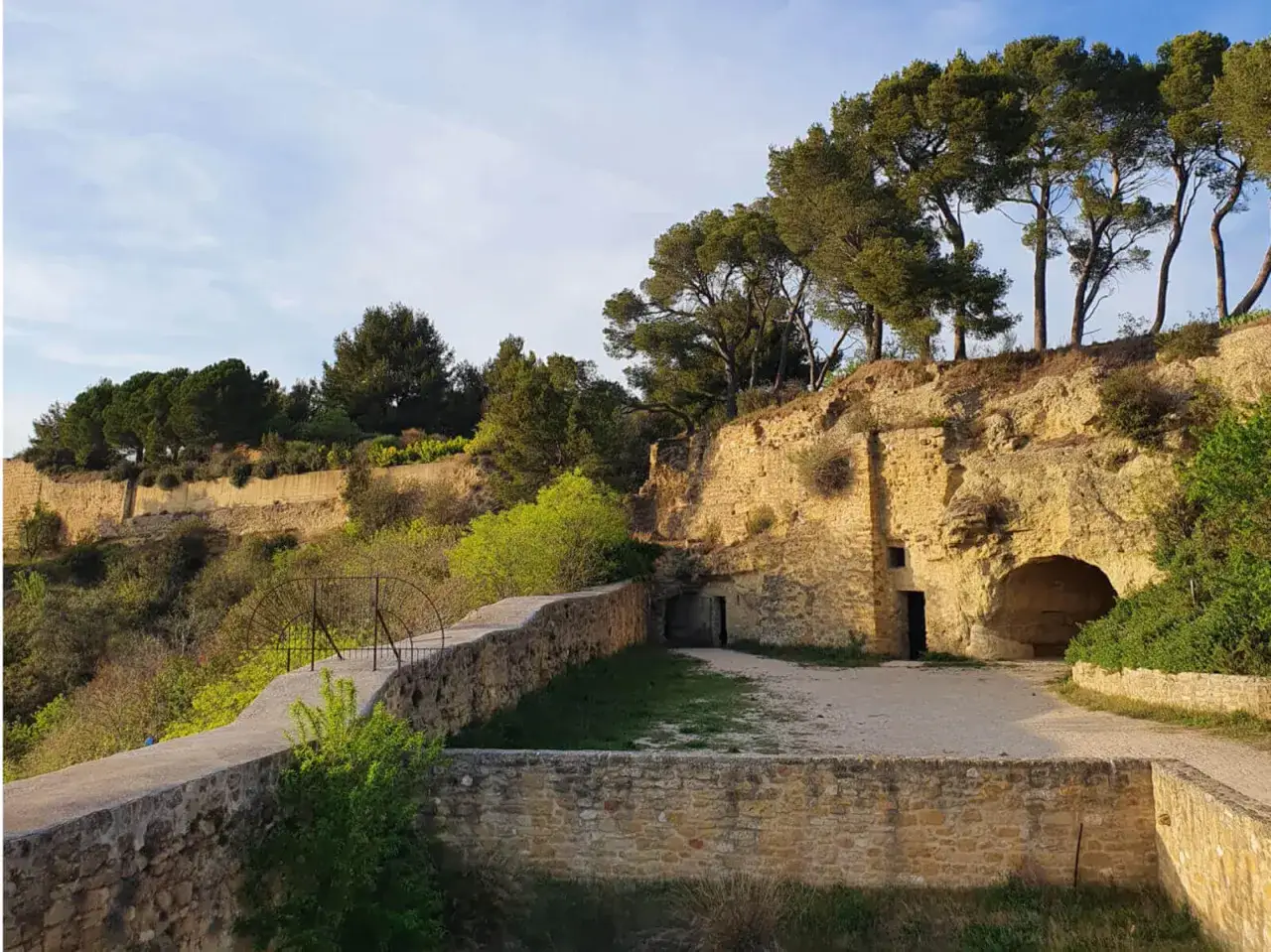 Vestiges du chateau de Cadenet, creusés dans la roche, avec des pins majestueux surplombant le site.