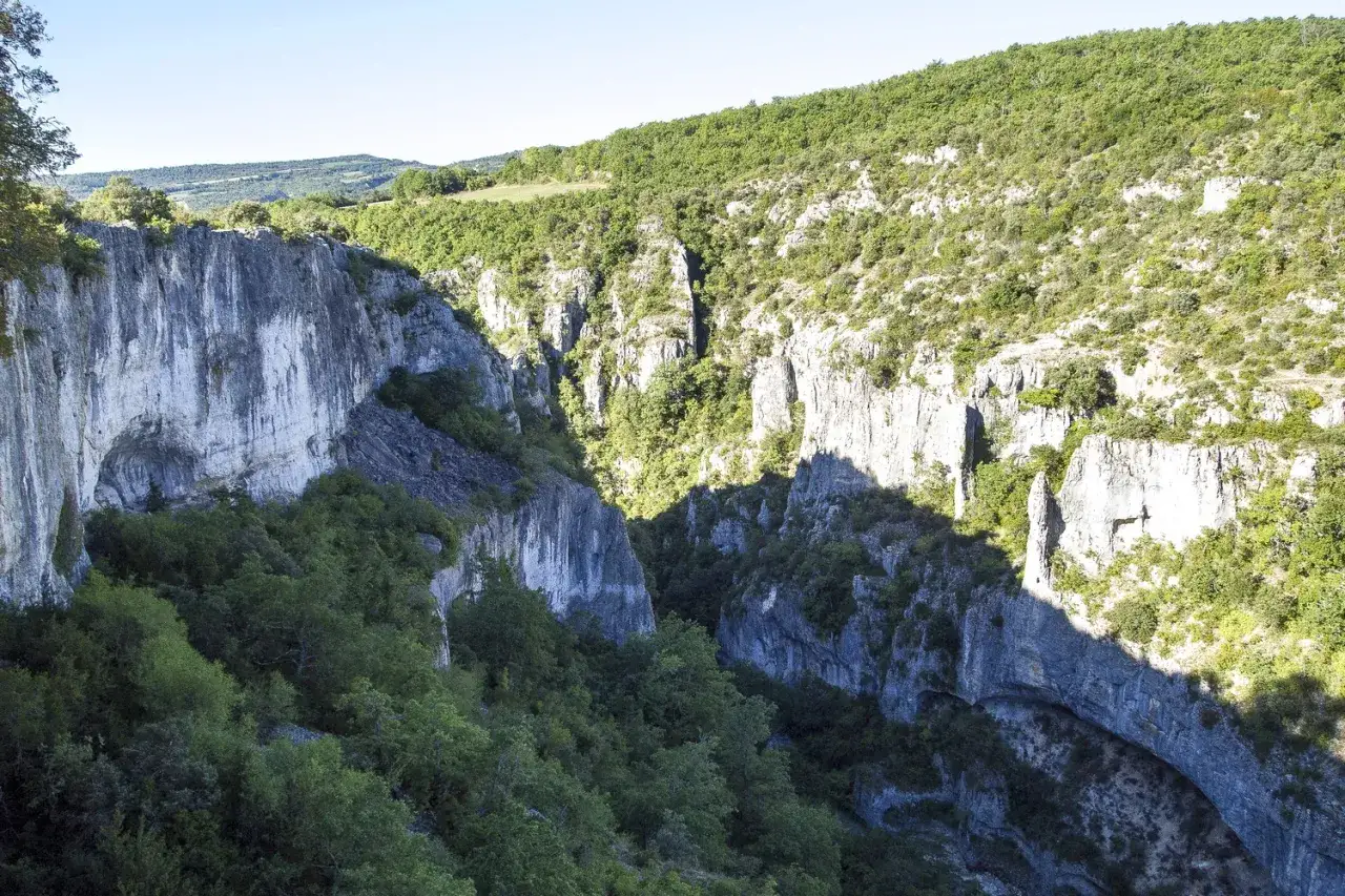 Vue plongeante sur les gorges d'Oppedette, falaises calcaires abruptes couvertes de v&eacute;g&eacute;tation luxuriante sous un ciel bleu.