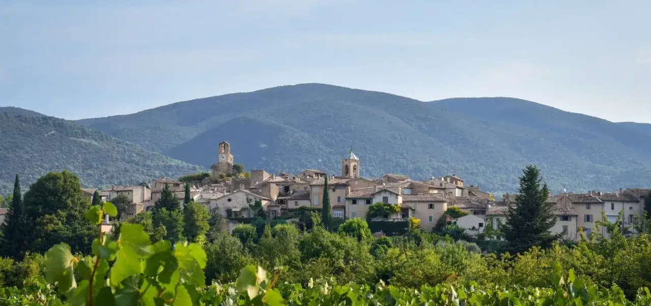 Village pittoresque de Bonnieux, France, nich&eacute; au pied d'une montagne verdoyante, avec des vignes au premier plan.