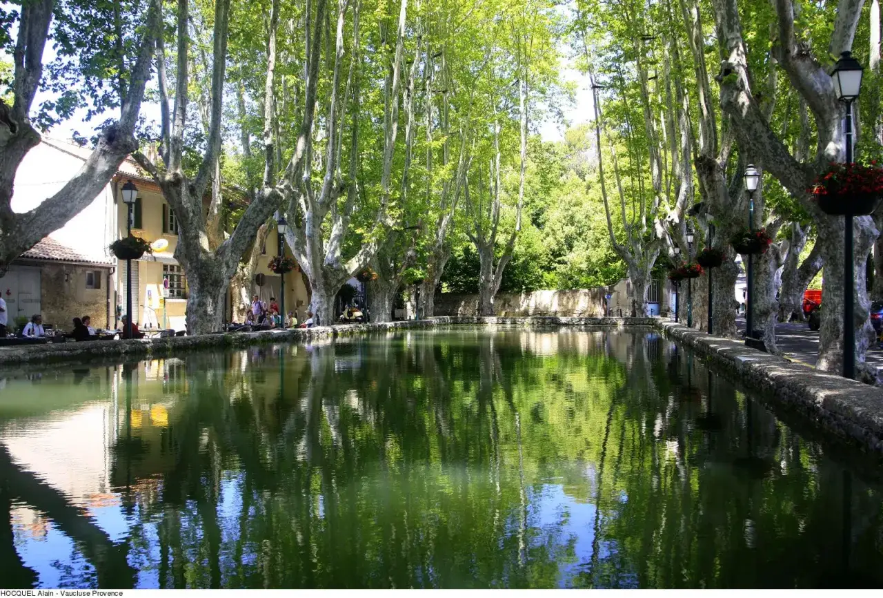L'&eacute;tang de Cucuron, bord&eacute; de platanes majestueux, refl&egrave;te un ciel bleu et une v&eacute;g&eacute;tation luxuriante. Des personnes profitent de l'ombre sur les berges.