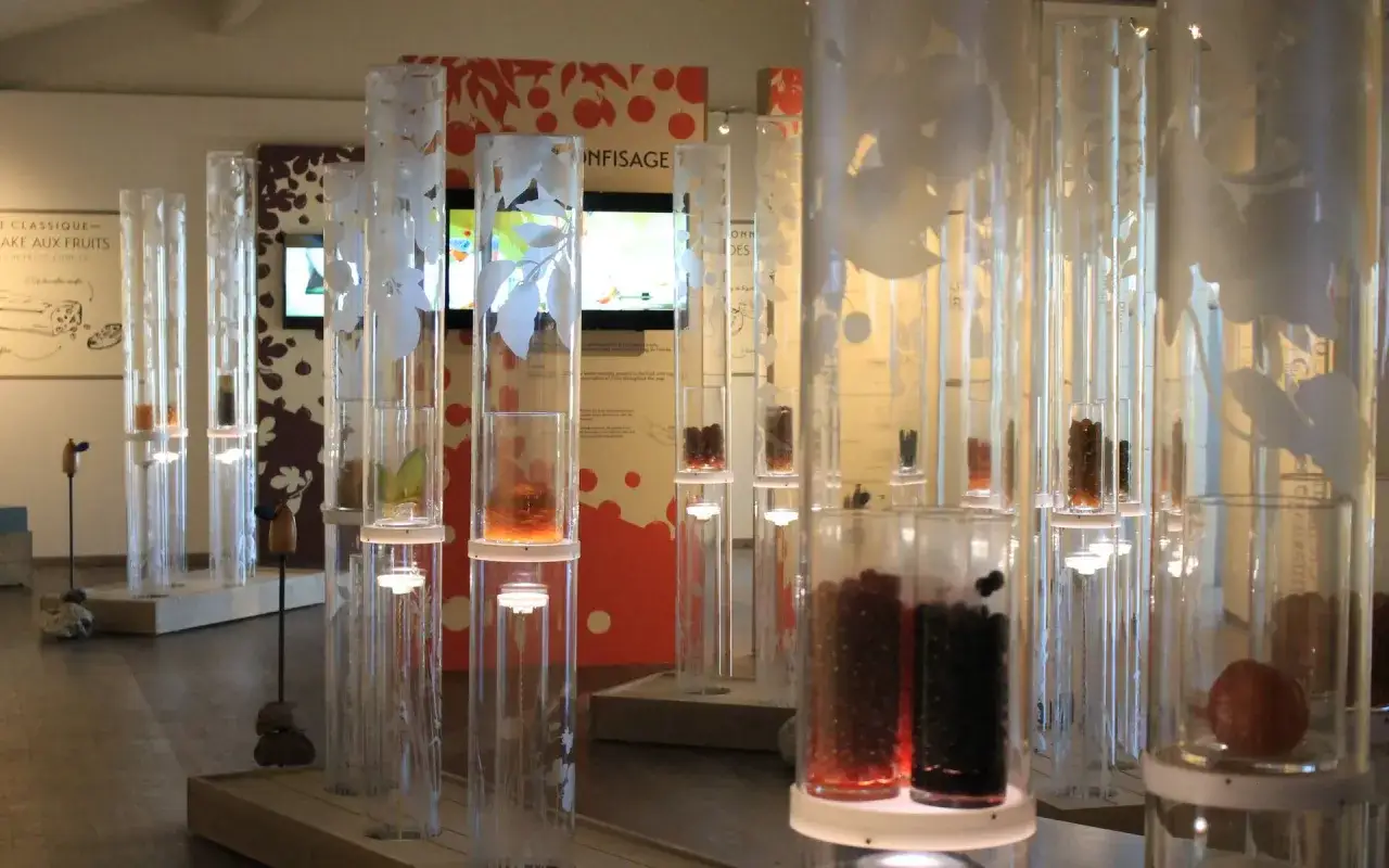 Exposition au mus&eacute;e sur la confiserie, avec des tubes transparents exposant des fruits confits et des sirops.