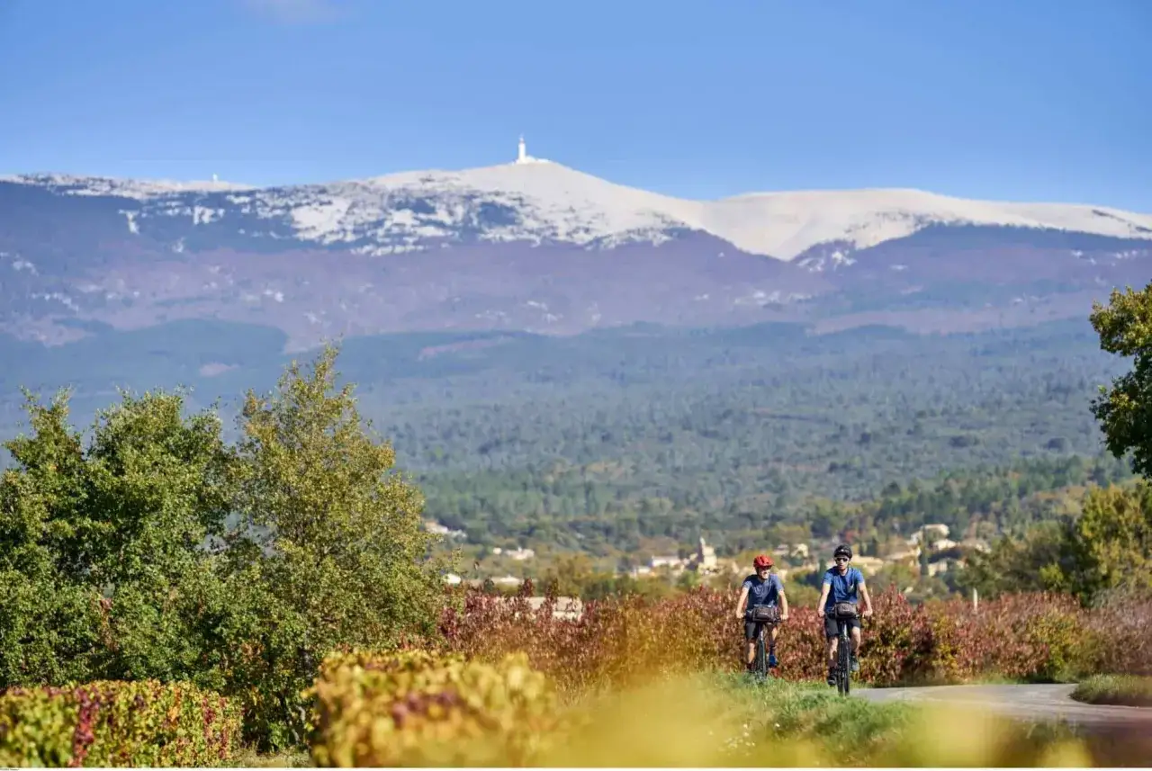 Deux cyclistes p&eacute;dalent sur une route de campagne, avec le Mont Ventoux enneig&eacute; en toile de fond.