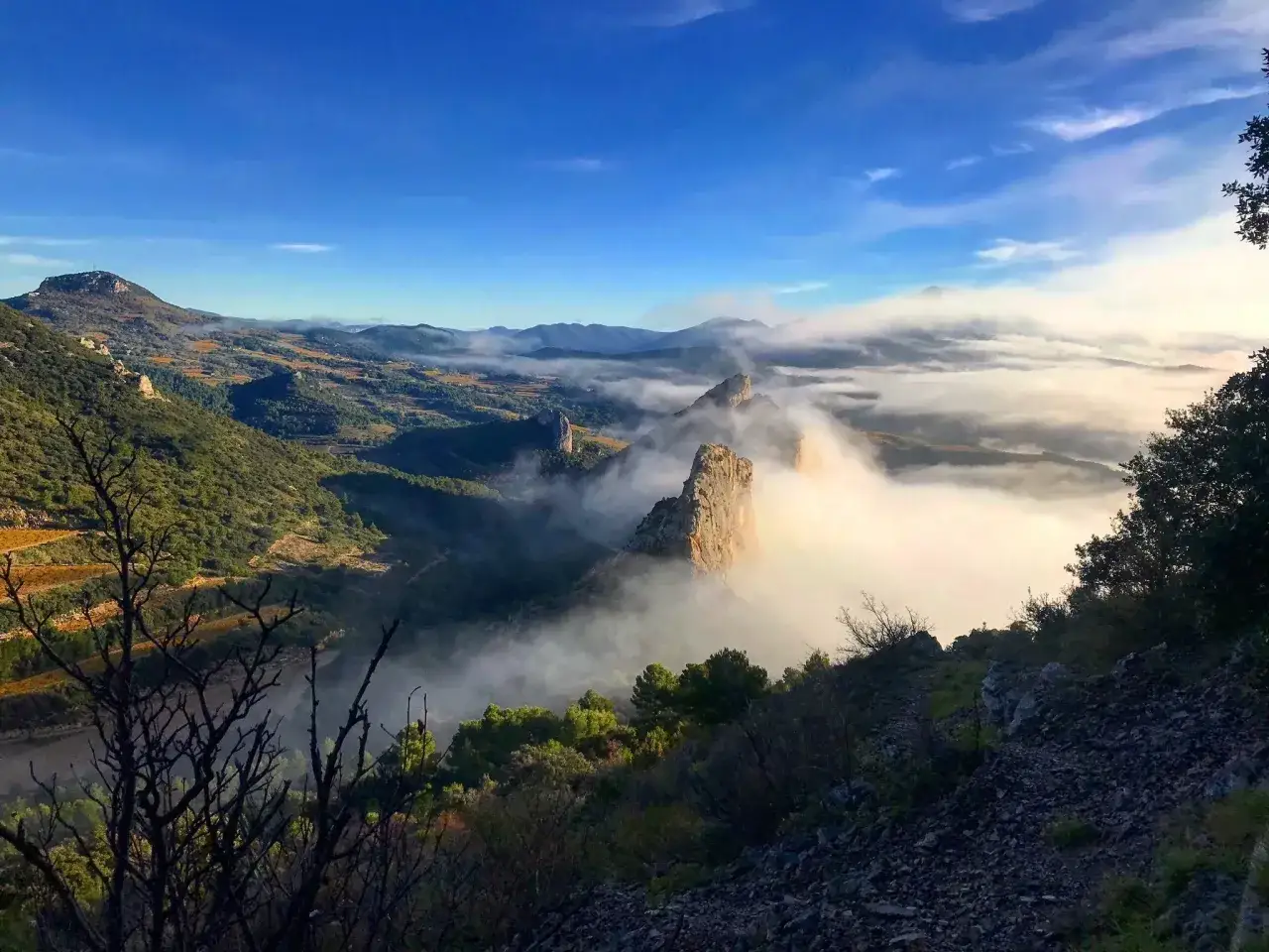 Vue spectaculaire d'une mer de nuages enveloppant les falaises lors d'une randonnée dans le Vaucluse. Le soleil perce, illuminant le paysage.