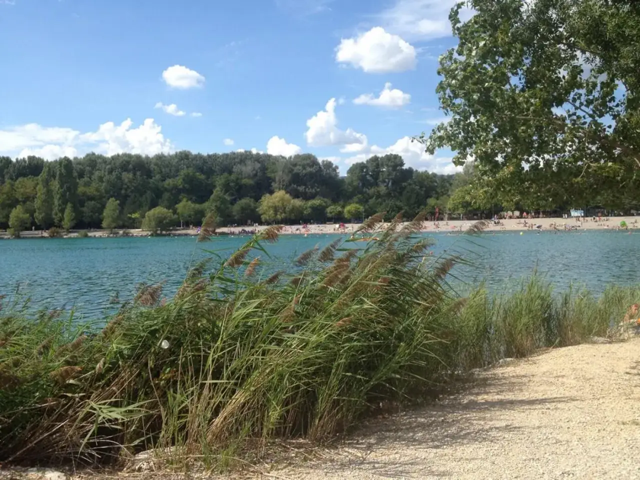 Bord du lac les Vannades, avec des roseaux au premier plan, une plage anim&eacute;e et une for&ecirc;t dense en arri&egrave;re-plan sous un ciel bleu et nuageux.