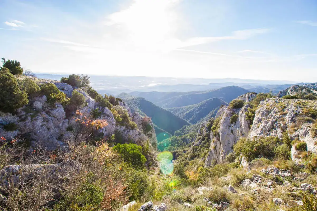 Vue panoramique sur la for&ecirc;t des C&egrave;dres, avec des falaises rocheuses et des collines verdoyantes sous un ciel bleu lumineux.