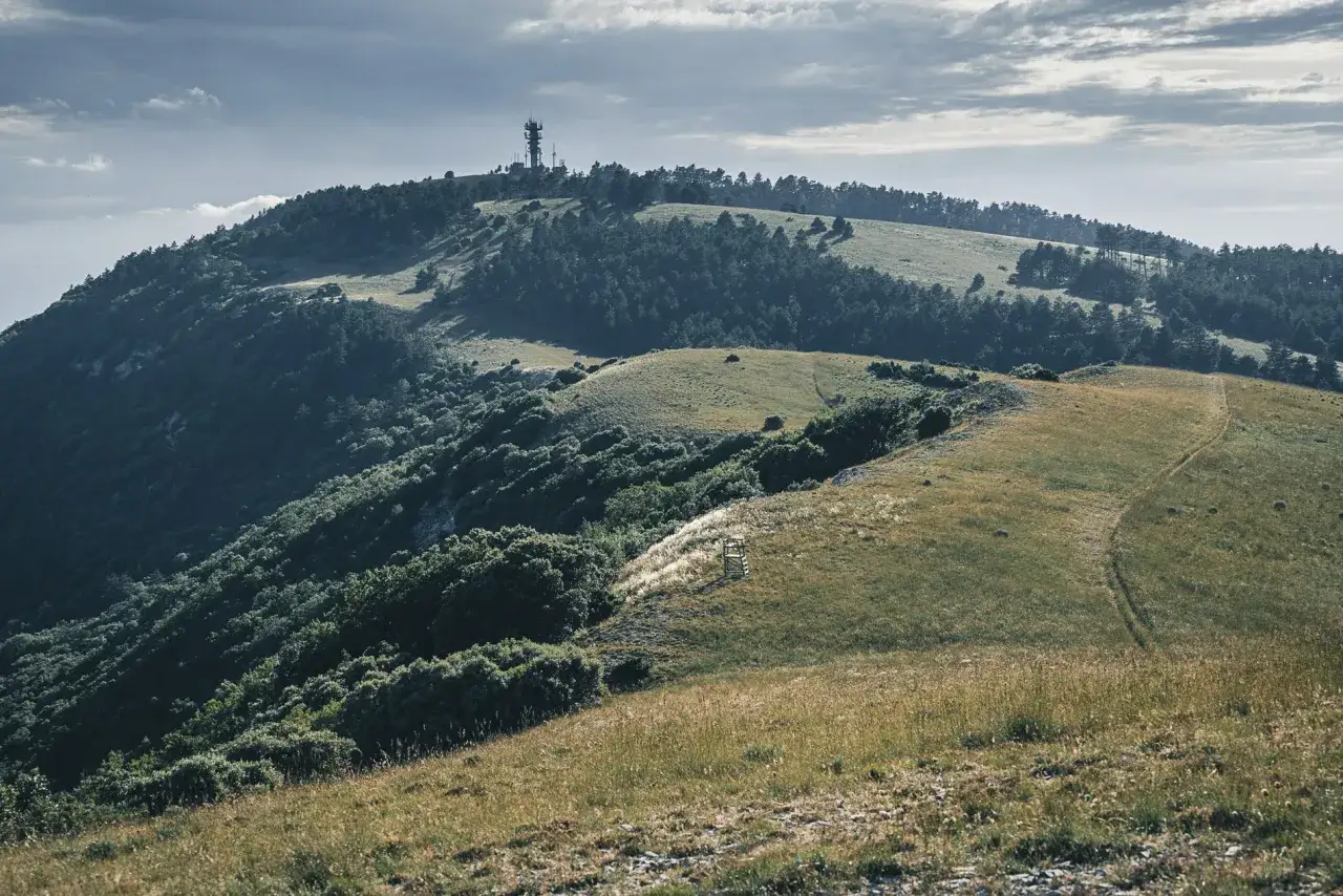 Vue panoramique d'une colline verdoyante avec une tour de t&eacute;l&eacute;communication au sommet. Un sentier serpente &agrave; travers l'herbe dor&eacute;e, menant vers le moure negre.