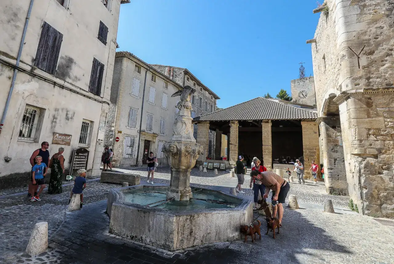 Place des fontaines à Pernes-les-Fontaines, avec des passants et leurs chiens près de la fontaine.