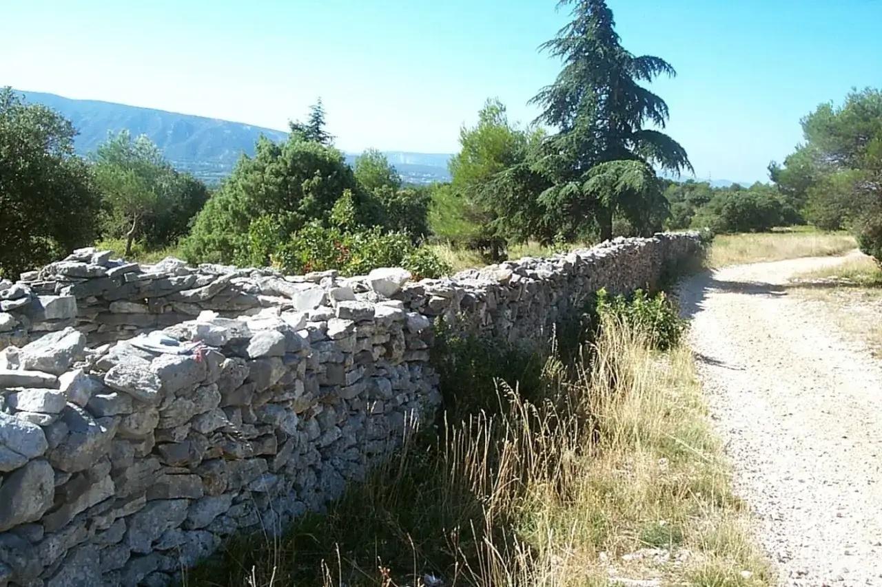 Un ancien mur de la peste, construit en pierres sèches, borde un chemin de terre bordé d'herbes hautes et d'arbres.