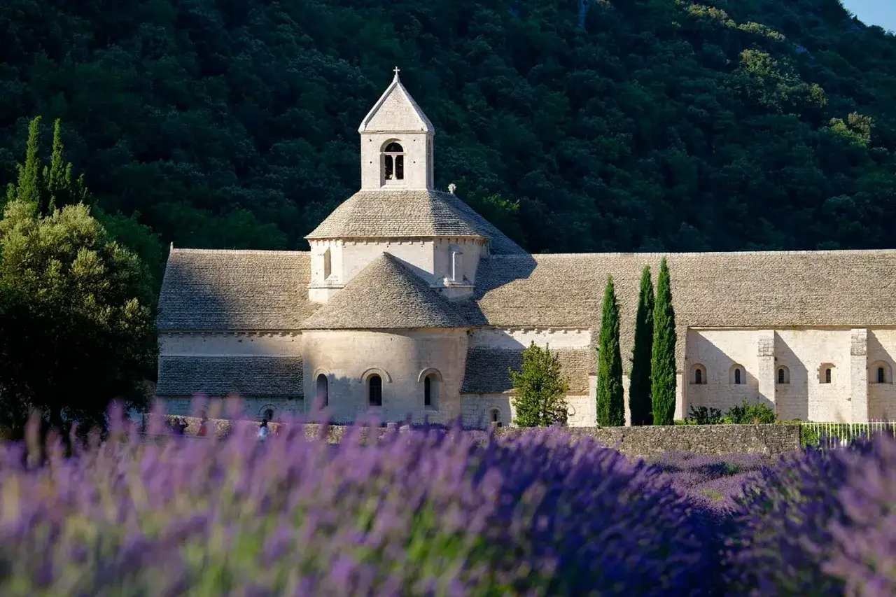 L'abbaye Notre-Dame de Sénanque, baignée de soleil, se dresse derrière un champ de lavande en fleurs.