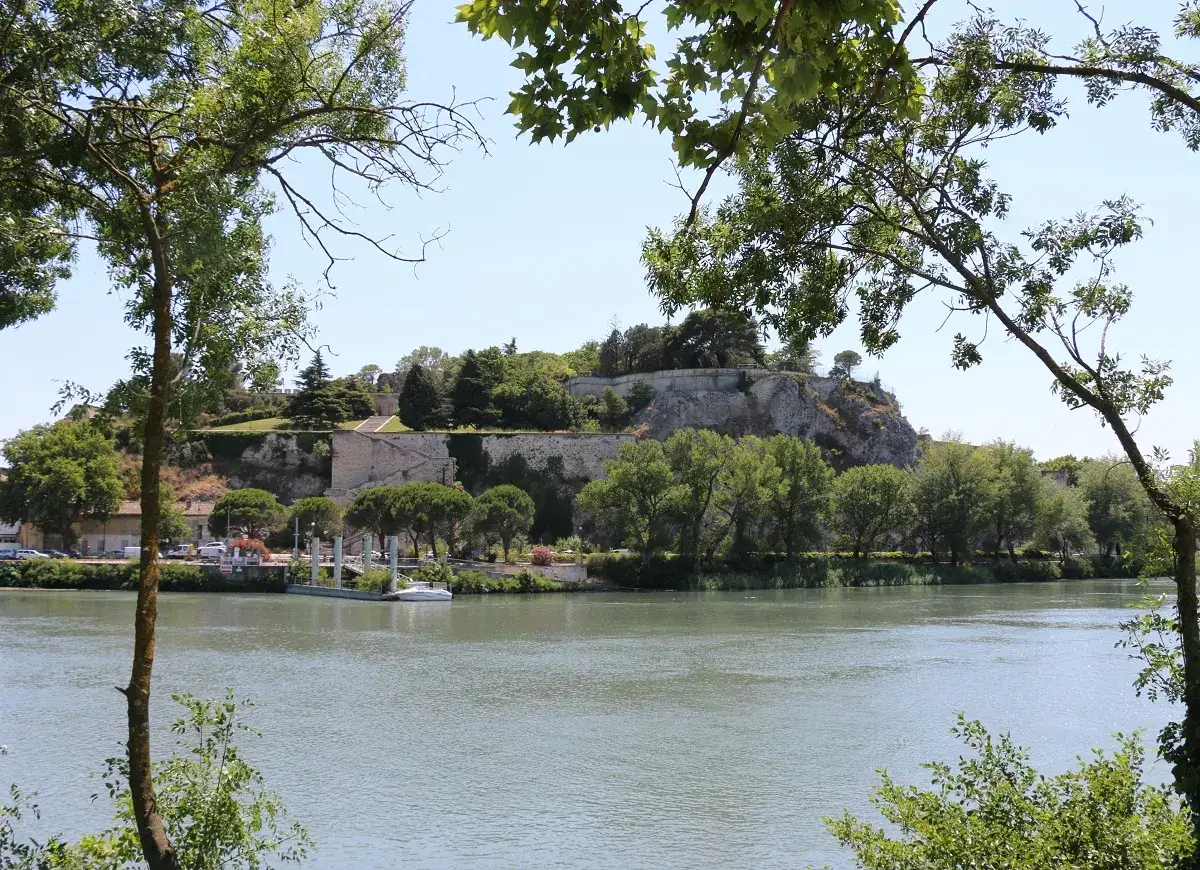 Vue sur le Rh&ocirc;ne depuis l'&icirc;le de la Barthelasse, avec ses remparts et sa v&eacute;g&eacute;tation luxuriante.