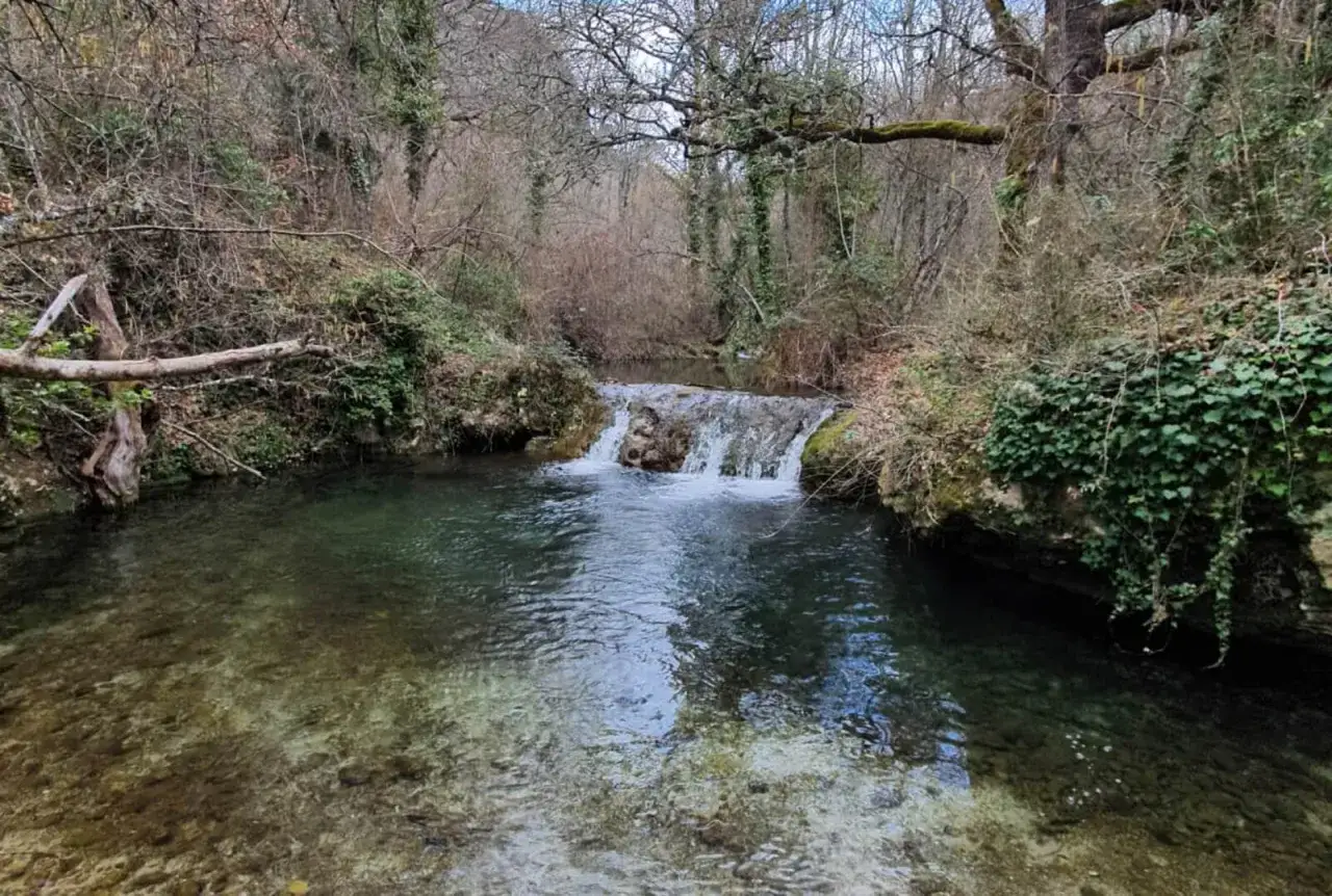 Un ruisseau aux reflets verts et bruns serpente &agrave; travers une for&ecirc;t automnale, formant une petite cascade.