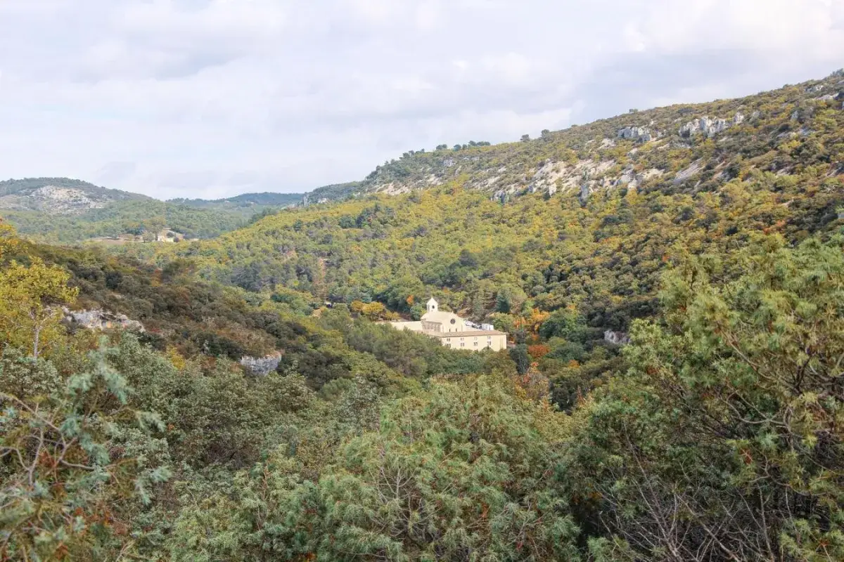 Vue d'une abbaye nich&eacute;e dans une vall&eacute;e verdoyante, parfaite pour une randonn&eacute;e &agrave; Gordes. Les collines environnantes sont couvertes d'arbres aux couleurs d'automne.