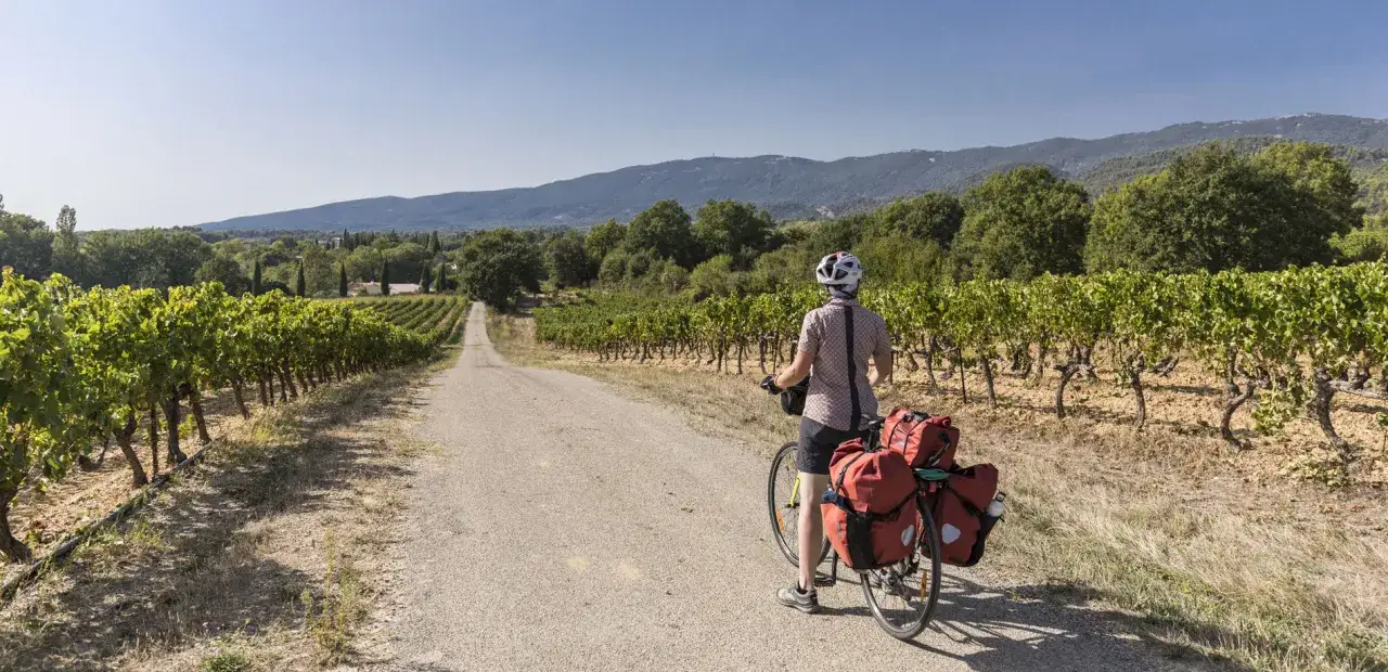 Cycliste en route pour un tour du Luberon à vélo, traversant des vignobles sous un ciel bleu.