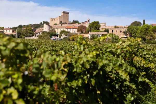 Vue sur le village de Châteauneuf-du-Pape, avec son château, ses vignobles et un ciel bleu.